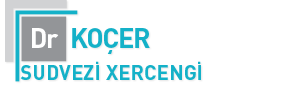 SÜD VƏZİ XƏRÇƏNGİ